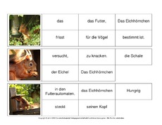 Sätze-bilden-Eichhörnchen 3.pdf